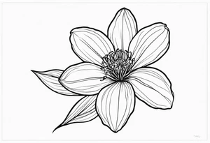 Platycodon grandiflorus tattoo idea
