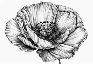 Poppy tattoo idea