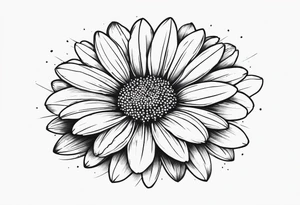 Daisy blossom top view tattoo idea