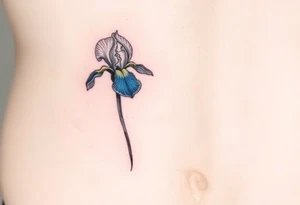 Single blue iris flower in the style of Van Gogh. One petal falling and one upright. Tattoo is to be on abdomen. tattoo idea