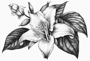 lily of the valley, angel trumpet tattoo idea