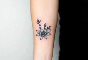 Branch with few magnolia flowers, in different blossom stages with botanical details tattoo idea