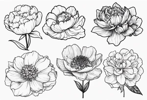tattoo design with 8 flowers: peony, carnation, daffodil, daphne, dahlia, desiree, daisy and rose and label the flower name tattoo idea