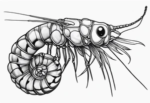 Amano shrimp tattoo idea