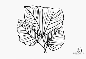 Monstera with the coordinates of my proposal to my wife at (-31.6337829, 152.8332886) tattoo idea