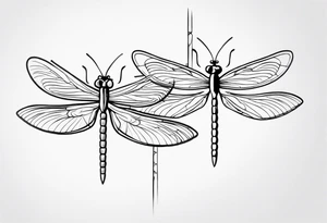 2 Dragonflies one with a lock as the chest 
and the other has a key for the tail fine black line style tattoo idea