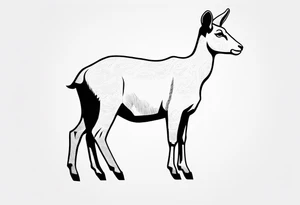 Shoulder/chest tattoo that is Half Goat, Half Kangaroo with a clear distinction of both tattoo idea