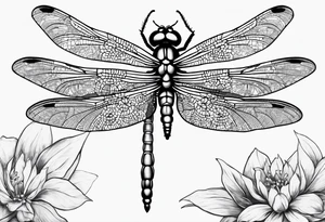 tutto passo dragonfly tattoo idea