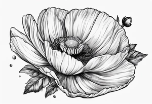 Cosmos, Poppy’s and Honeysuckle tattoo idea