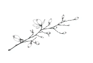 Magnolia branch long with different small half opened flowers, botanical details tattoo idea