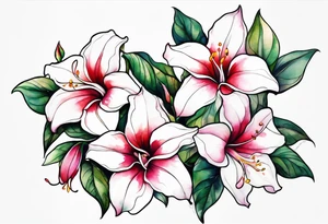 white background, abstract mandevilla flowers on a vine tattoo idea