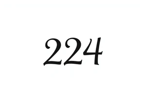 a tatto that says 224  in cyber font no decorations minimalist tattoo idea