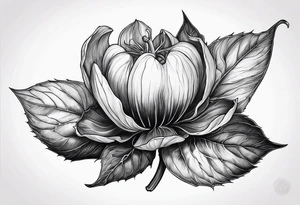 Physalis sur tout l'avant bras tattoo idea