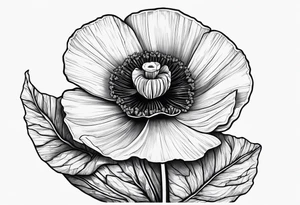 Poppy flower growing from a rock tattoo idea