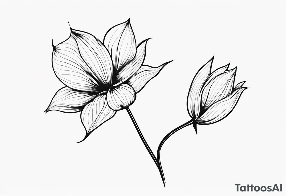 one very simple and no detailed waratha flower with stem in black and white, the few lines possible, fine-line tattoo idea