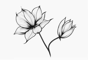 one very simple and no detailed waratha flower with stem in black and white, the few lines possible, fine-line tattoo idea