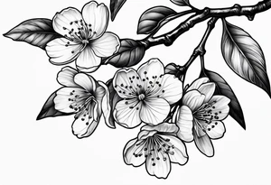 Cherry blossom with branch tattoo idea