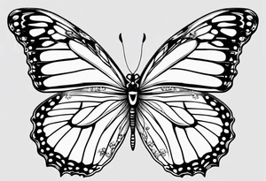 Butterfly tattoo tattoo idea