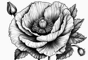 Poppy tattoo idea