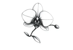 orchid with stem and leaves tattoo idea