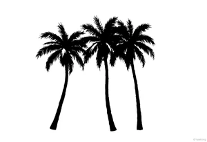 Palm trees, silhouette,  florida tattoo idea