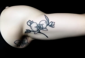 A delicate, black and white fine-line tattoo for make, featuring a gracefully detailed orchid stem with two flowers in full bloom, with soft, intricate petals and elegant curves tattoo idea