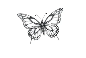 a butterfly tattoo idea