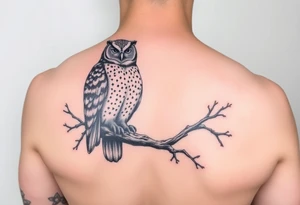 wise owl perched on ancient oak branch under starlit sky tattoo idea