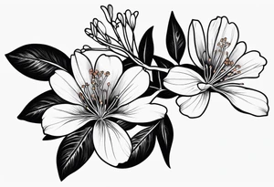 African Flame tree flower tattoo idea