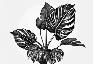 Alocasia zebrina tattoo idea