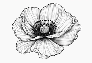 Cosmo  flower
Poppy flower tattoo idea