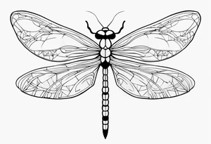 dragonfly tattoo idea