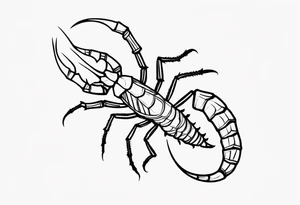 small Julia scorpion tattoo idea