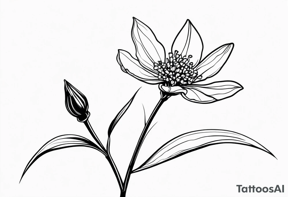 one very simple and no detailed Acacia pycnantha flower with stem in black and white, the few lines possible, fine-line tattoo idea