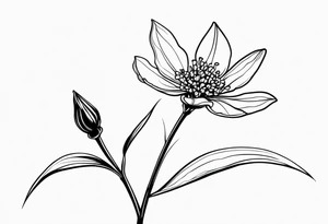 one very simple and no detailed Acacia pycnantha flower with stem in black and white, the few lines possible, fine-line tattoo idea