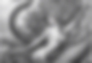 Octopus looking up longingly at a mermaid in the ocean wrap around entire bottom of leg. tattoo idea