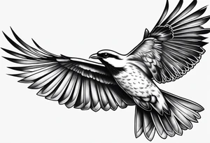 Make a preview of Bird in Flight.
This tattoo should be mark as a sign of freedom.
The tattoo should be on the leg tattoo idea