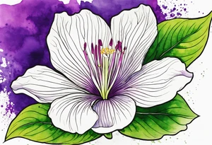 An outline of a rio dipladenia flower with green pedals and a purple watercolor splash in the background tattoo idea