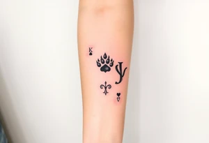 darth vader as the king of spades, paw print as the princess of hearts, joker from batman as the joker, deck of cards tattoo idea