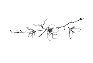 Magnolia branch long with different half opened flowers, botanical details tattoo idea