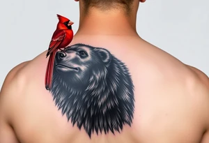 Realistic bright red cardinal perched on the shoulder of a realistic black bear. tattoo idea