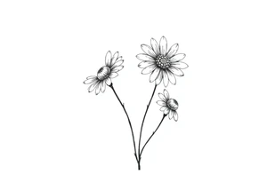 Daisies tattoo idea