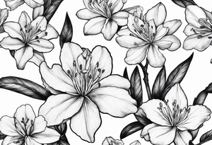 5-petal Azaleas, spread out along a long branch tattoo idea