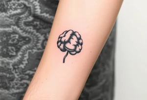 Walnut on the inside forearm that sort of looks like a brain tattoo idea