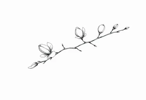 Magnolia branch long with different half opened flowers, botanical details tattoo idea