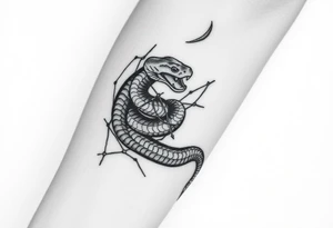 Snake wrapped in web tattoo idea