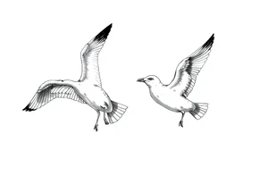 Seagulls tattoo idea