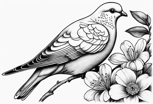 Dove, flower, black and white, shadows tattoo idea