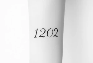 Fine line minimalist that blends in and disguises “1202” that’s already tattooed. The images cannot look like numbers. The tattoo ideas need to completely hide that these are numbers tattoo idea