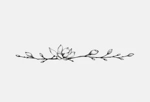 Magnolia branch long with different half opened flowers, botanical details tattoo idea
